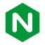 favicon from www.nginx.com