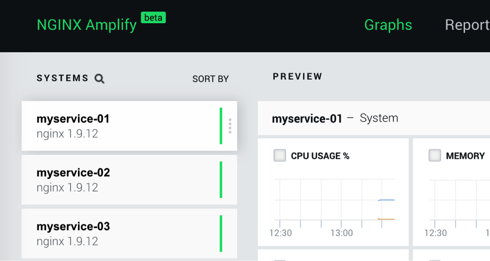 You can assign a human-readable name to a Docker container, to make it easier to identify on the NGINX Amplify dashboard when configuring how to monitor NGINX with Amplify in a Docker deployment