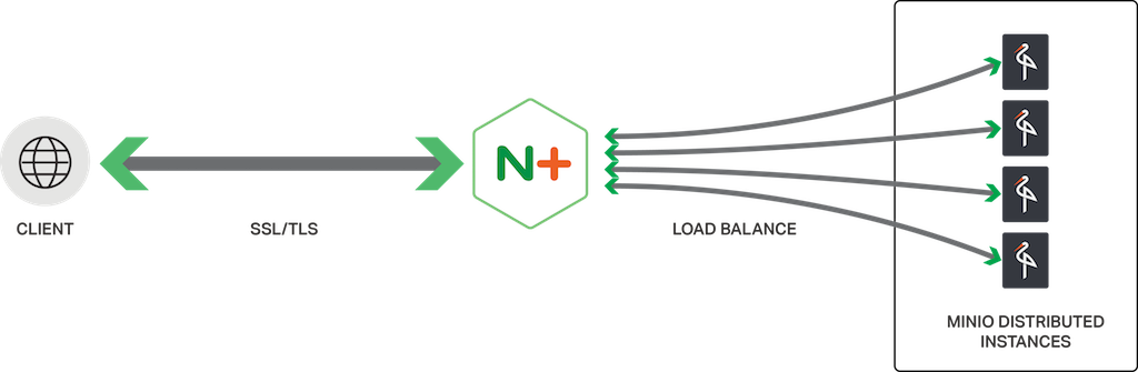 NGINX Plus is an effective load balancer for distributed instances of the Minio cloud-based object storage server
