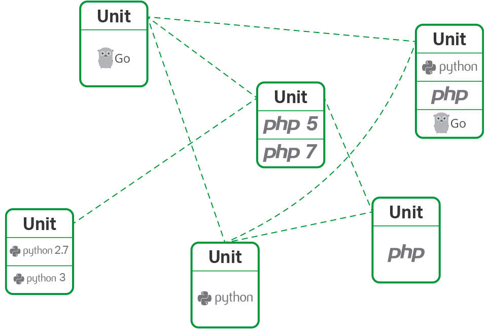 With NGINX Unit you can run multiple languages and versions on the same server